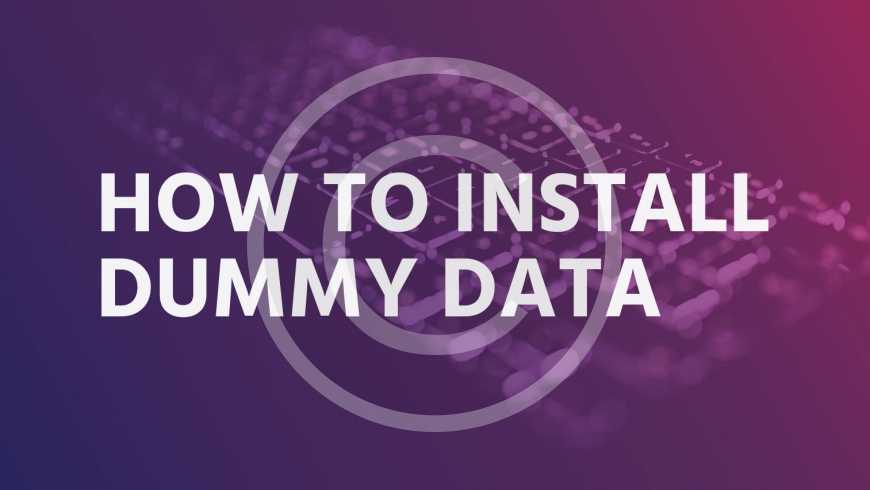 How to install dummy data